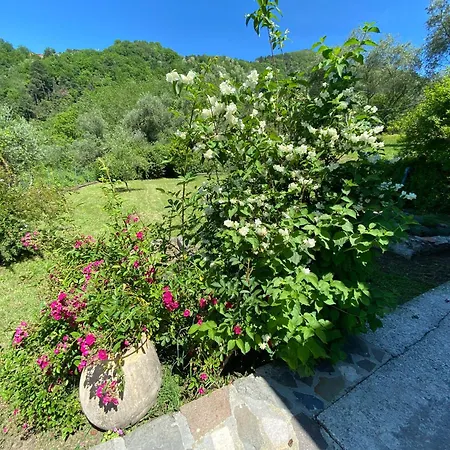 La Casetta Valdonica La Spezia Calice al Cornoviglio